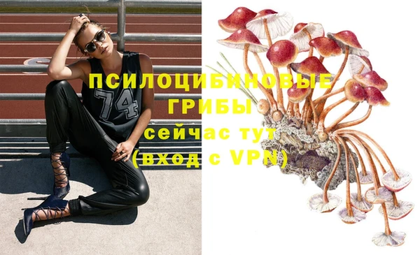 стафф Зерноград