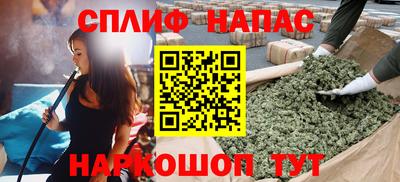 СК Гагарин
