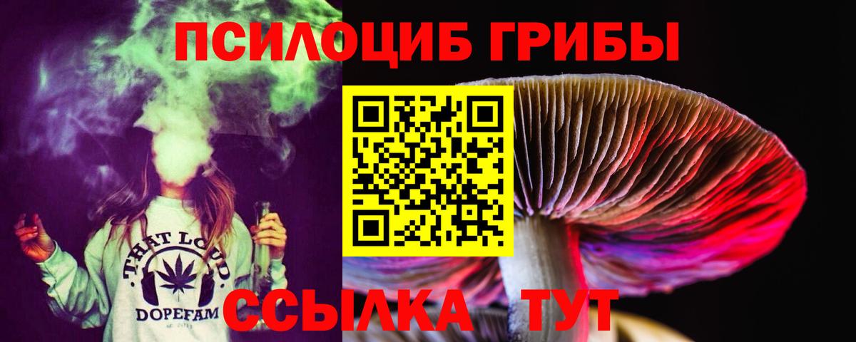 Галлюциногенные грибы прущие грибы  Вход с VPN  Кандалакша  где найти наркотики  Псилоцибиновые грибы прущие грибы 