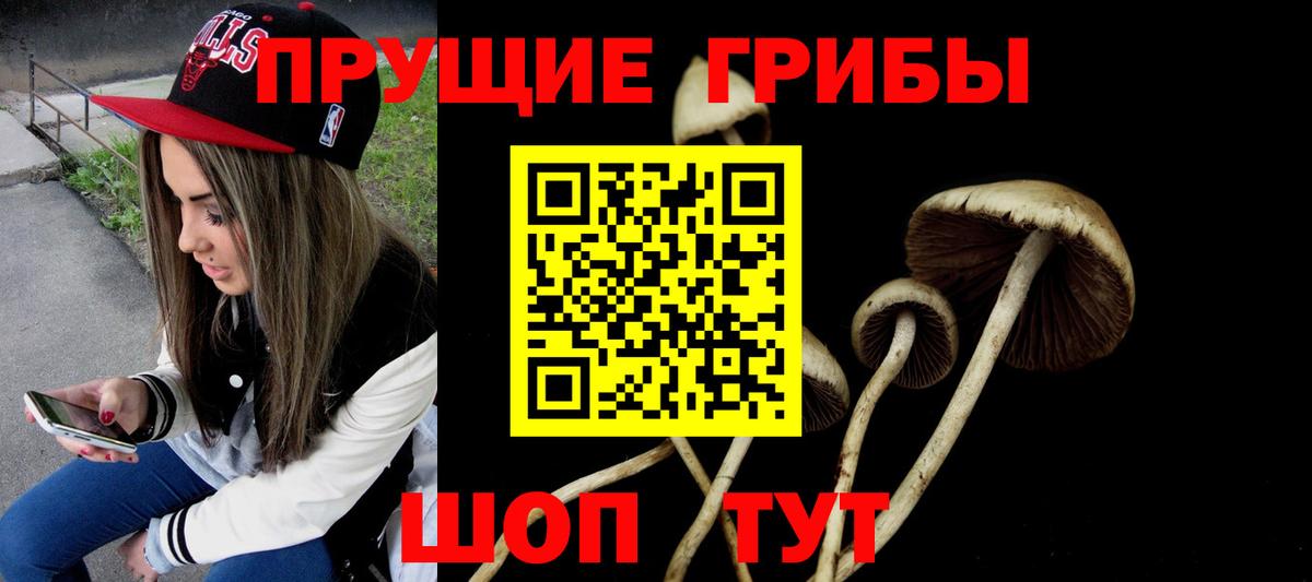 Галлюциногенные грибы Cubensis Кандалакша
